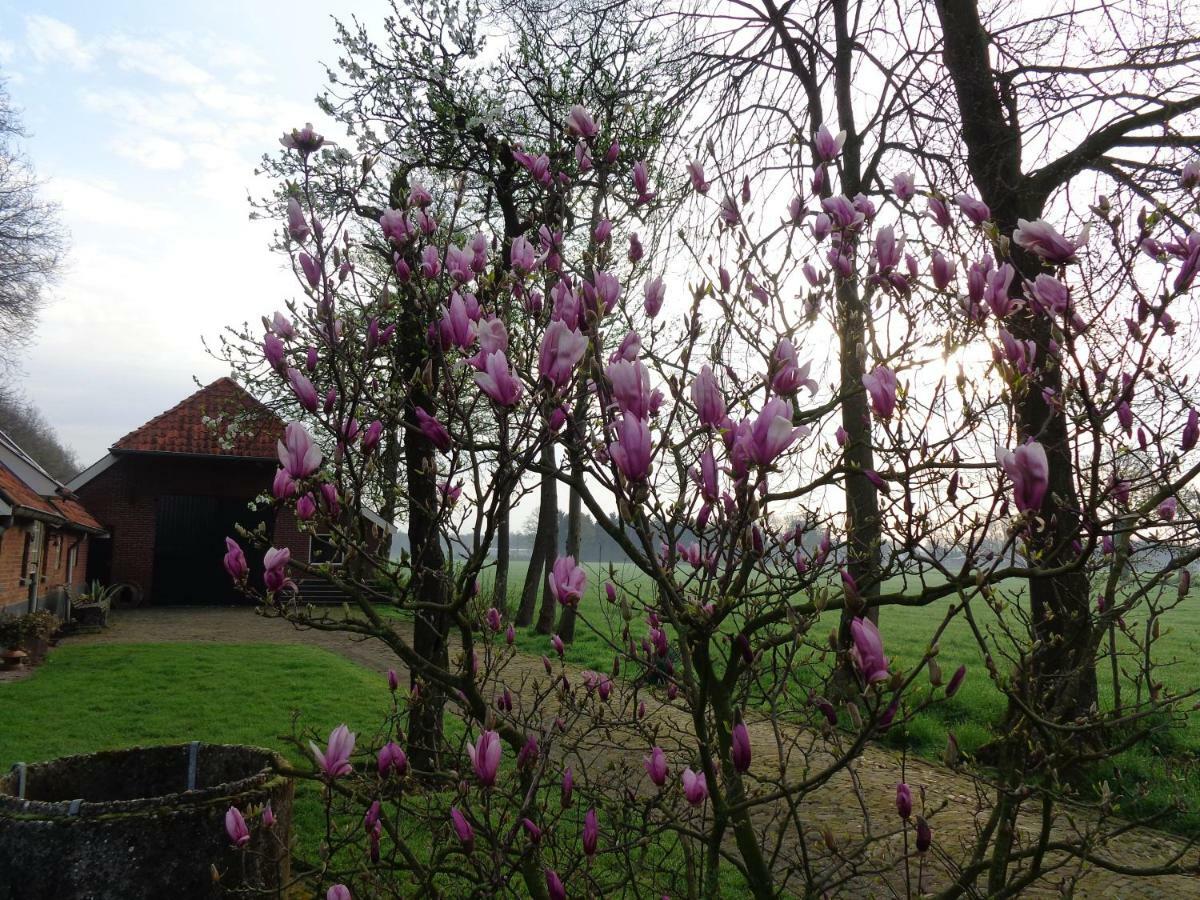 Thil'S Bed And Breakfast Ambt Delden Zewnętrze zdjęcie